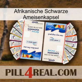 Africa Black Ant Capsule kamagra1